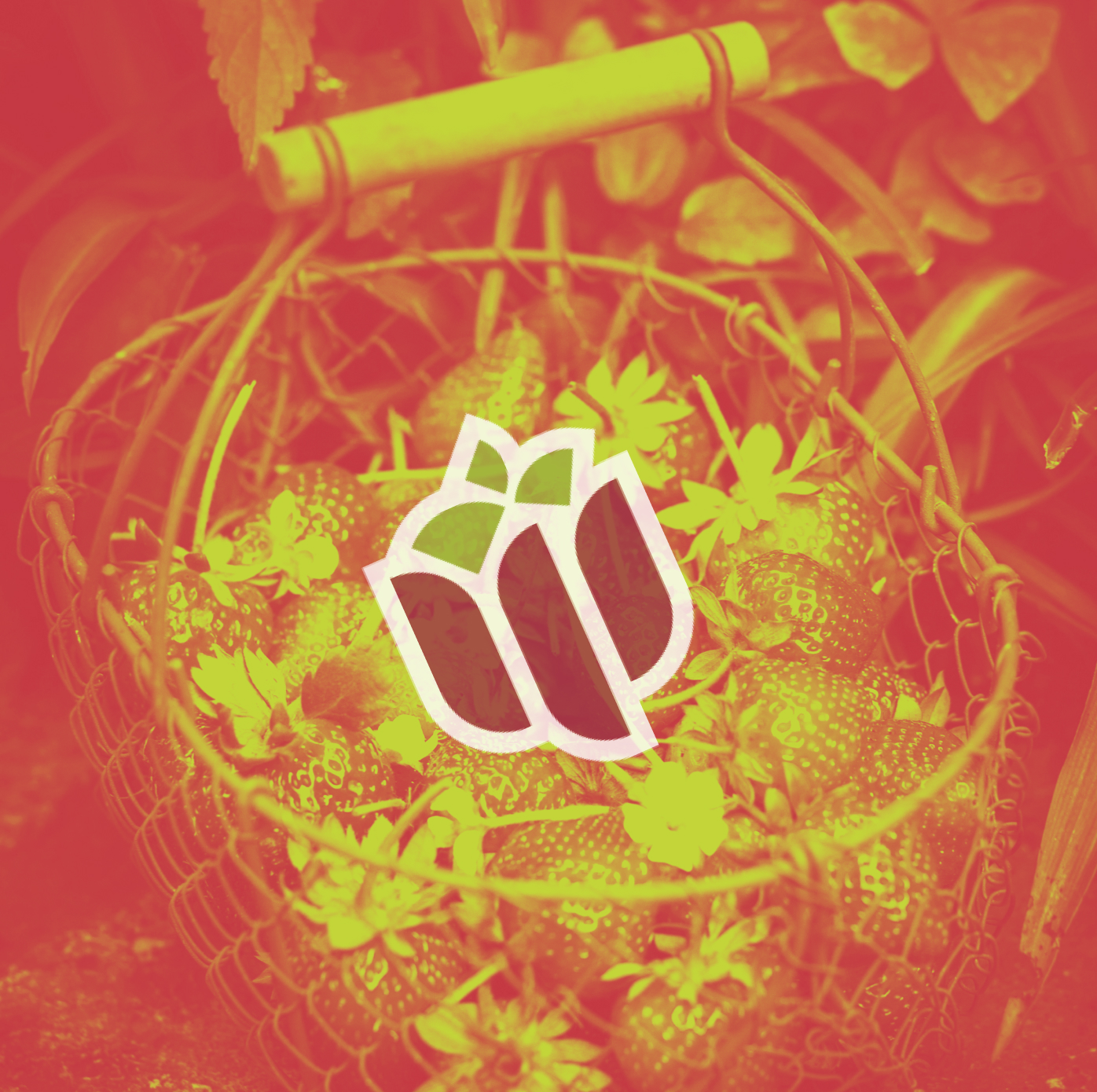 strawberries in a basket