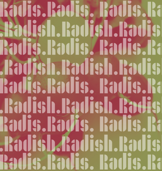 picture showing the shapes in the type