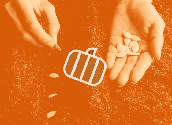 picture of hands planting pumpkin seeds