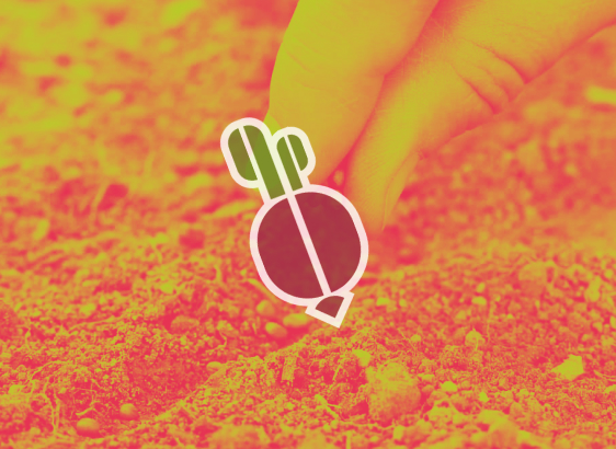 picture of hands planting radish seeds