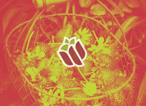 picture of a basket filled with strawberries